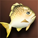 Large Yellow Fat Fish - Upper Grade