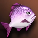 Small Purple Fat Fish