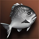 Small Black Fat Fish