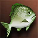 Pudgy Green Fish