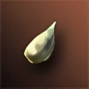 Cloned Large Squash Seed