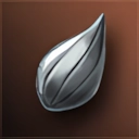 Large Snowy Squash Seed