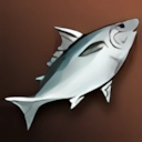 Small White Nimble Fish