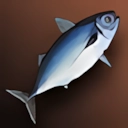 Blue Mackerel