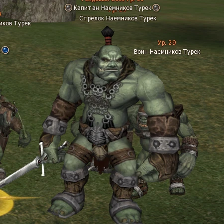 Turek Mercenary Captain