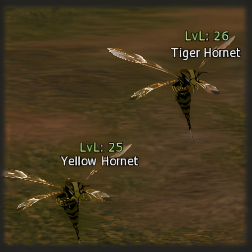 Tiger Hornet
