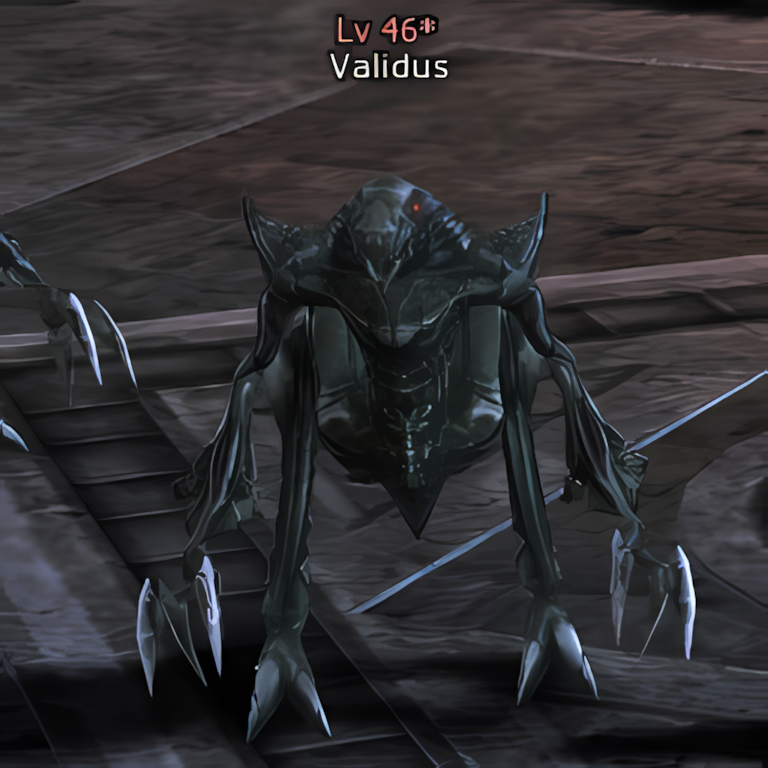 Validus
