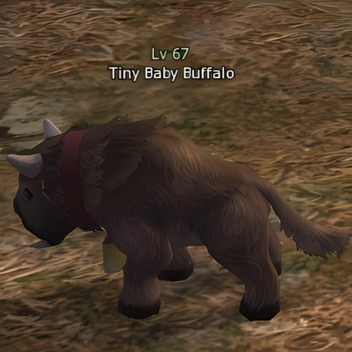 Tiny Baby Buffalo