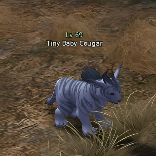 Tiny Baby Cougar
