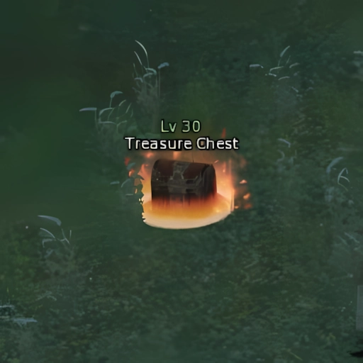 Treasure Chest