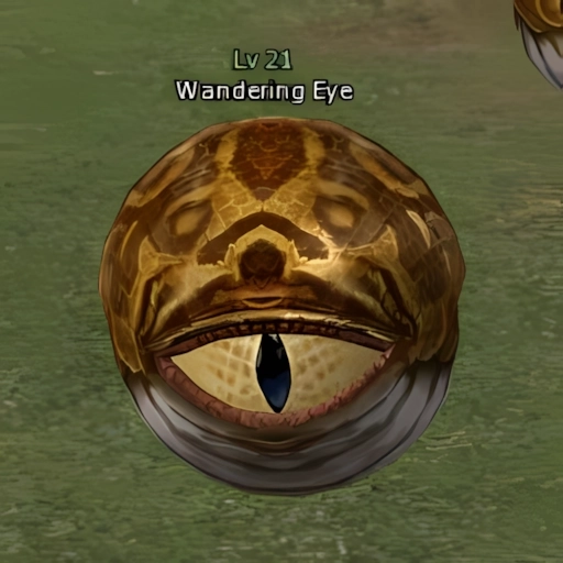 Wandering Eye