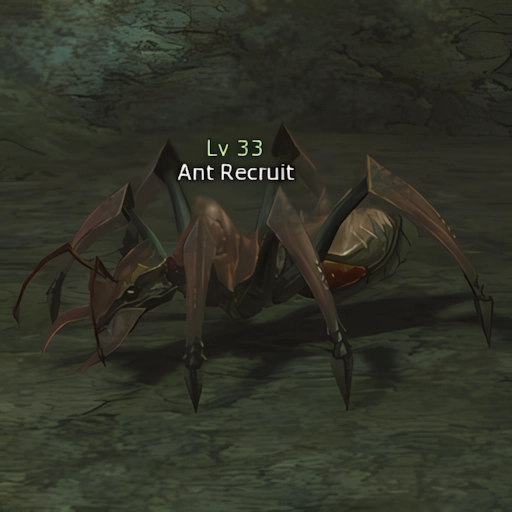 Ant Recruit