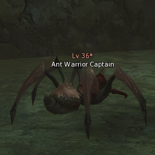 Ant Warrior Captain