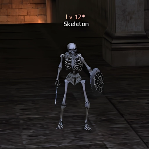 Skeleton