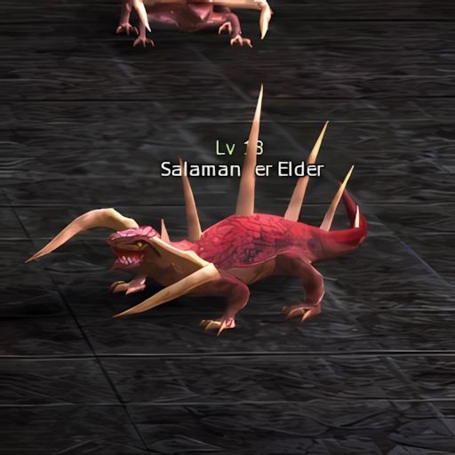 Salamander Elder