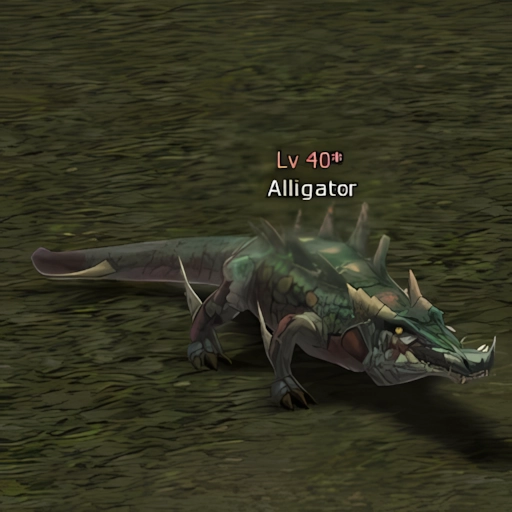 Alligator