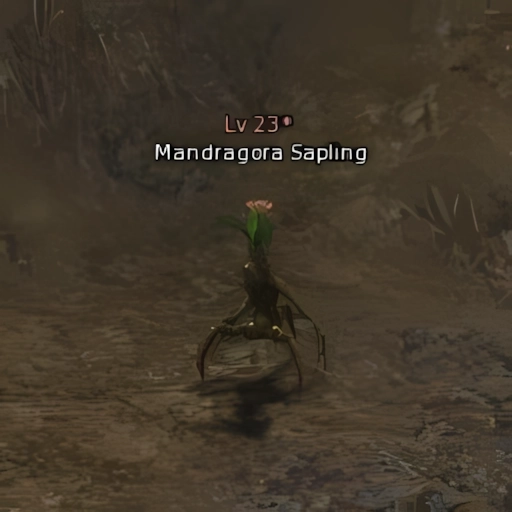 Mandragora Sapling