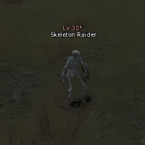 Skeleton Raider