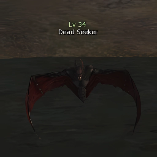Dead Seeker