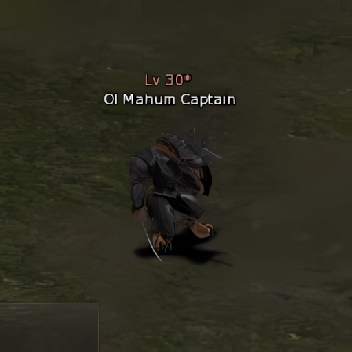 Ol Mahum Captain