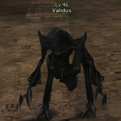 Validus