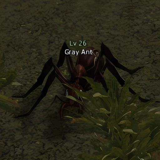 Gray Ant