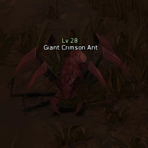 Giant Crimson Ant