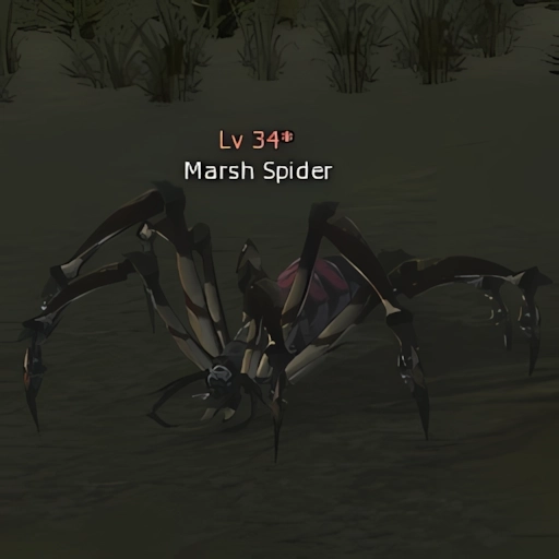 Marsh Spider