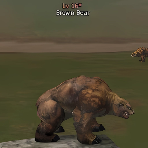 Brown Bear