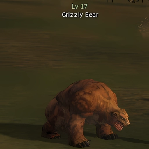 Grizzly Bear