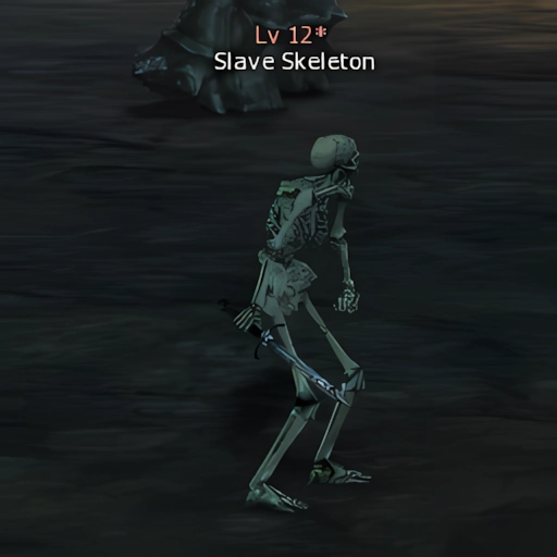 Slave Skeleton
