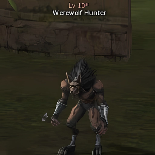Werewolf Hunter
