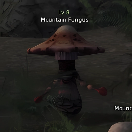 Mountain Fungus
