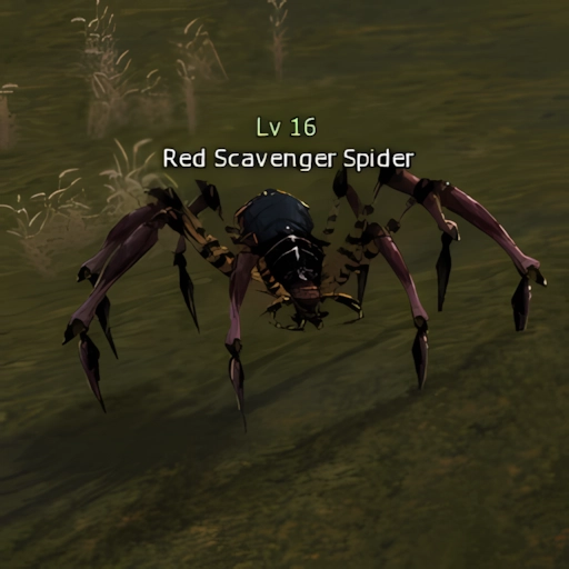 Red Scavenger Spider