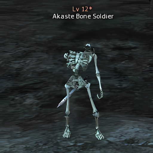 Akaste Bone Soldier