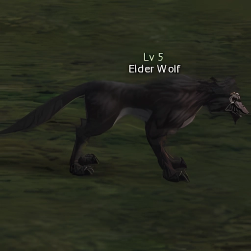 Elder Wolf