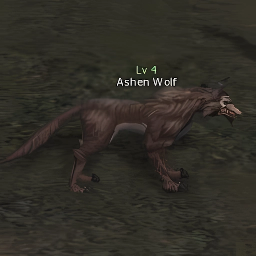 Ashen Wolf
