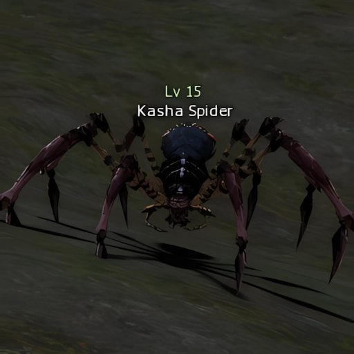 Kasha Spider
