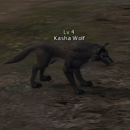 Kasha Wolf