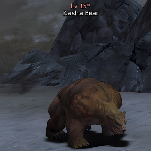 Kasha Bear