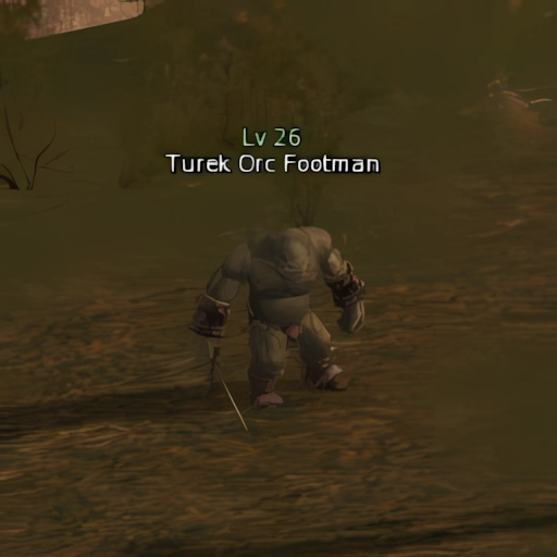 Turek Orc Footman