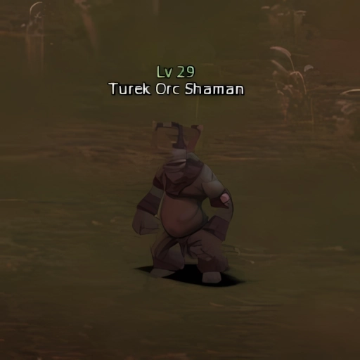Turek Orc Shaman