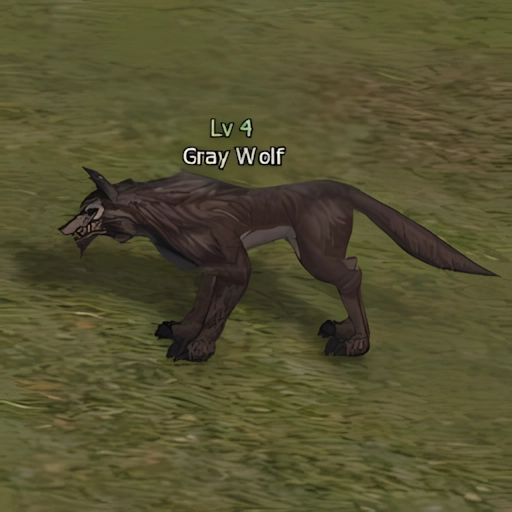 Gray Wolf