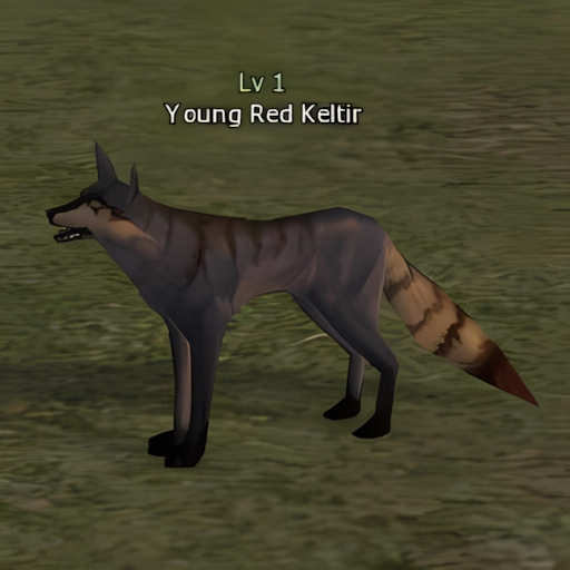 Young Red Keltir