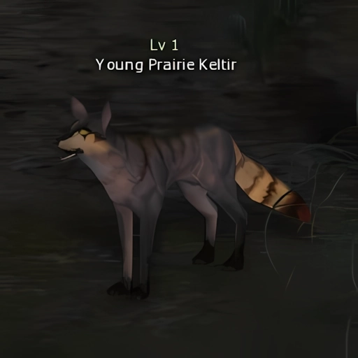 Young Prairie Keltir