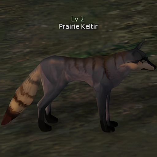 Prairie Keltir
