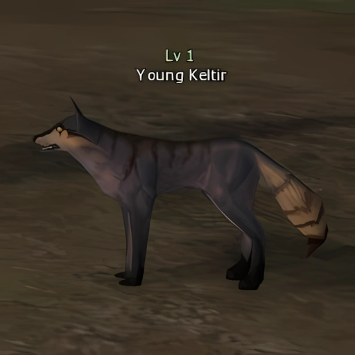 Young Keltir