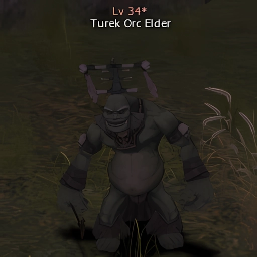 Turek Orc Elder