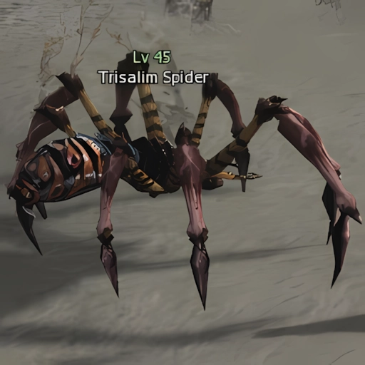 Trisalim Spider
