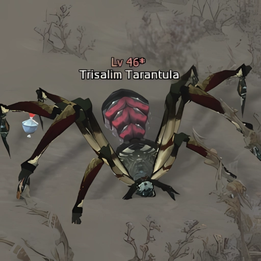 Trisalim Tarantula
